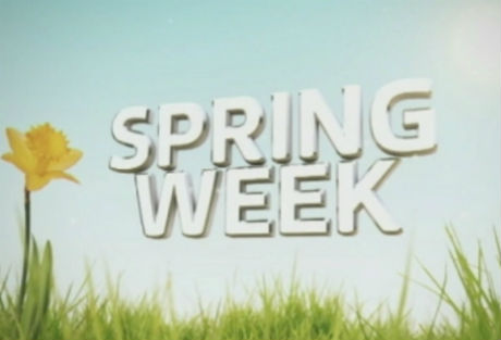 Insight Days/Spring Weeks